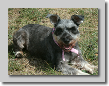 Fannie